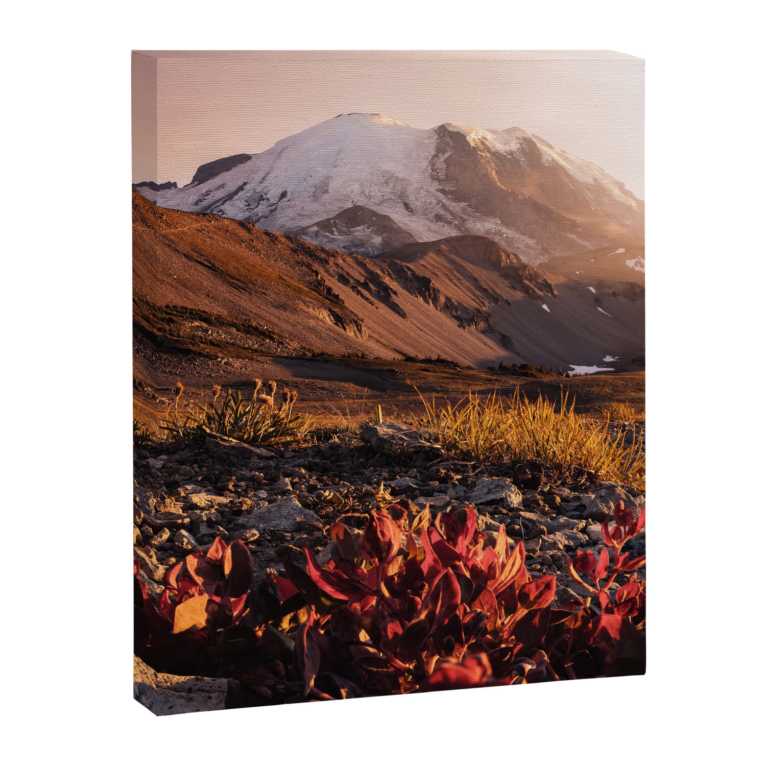 Believe in Miracles - Mount Rainier National Park Canvas Print Gallery Image 3