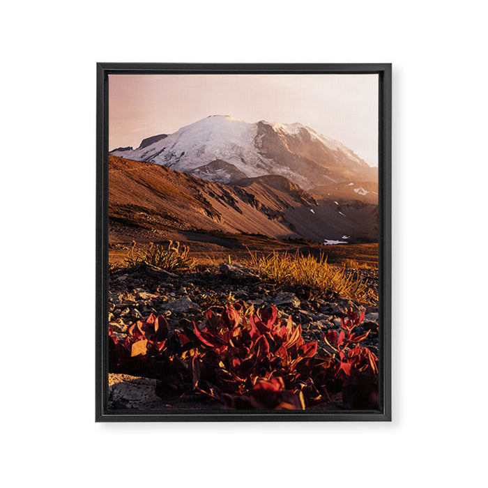 Believe in Miracles - Mount Rainier National Park Framed Canvas Print Gallery Image 1