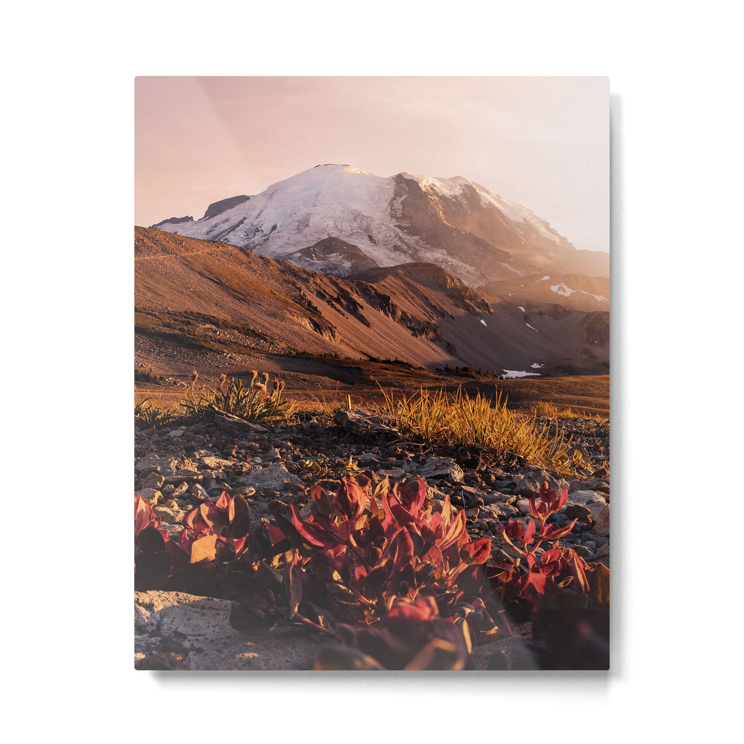 Believe in Miracles - Mount Rainier National Park Metal Print Gallery Image 4