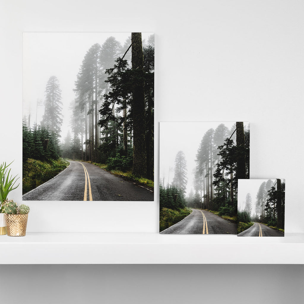 Foggy Forest Road - Pacific Northwest Travel Canvas Print Gallery Image 3