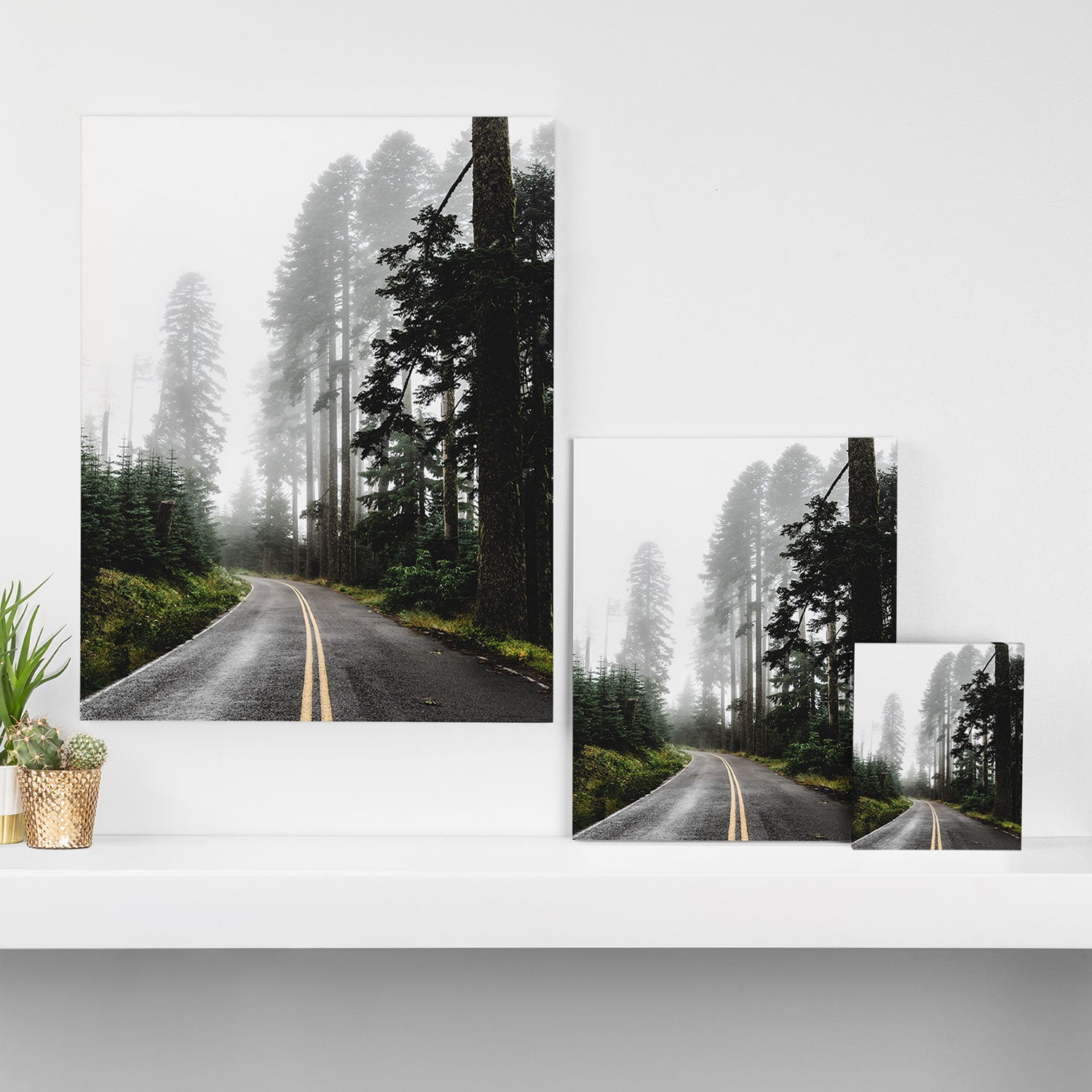 Foggy Forest Road - Pacific Northwest Travel Canvas Print Gallery Image 3