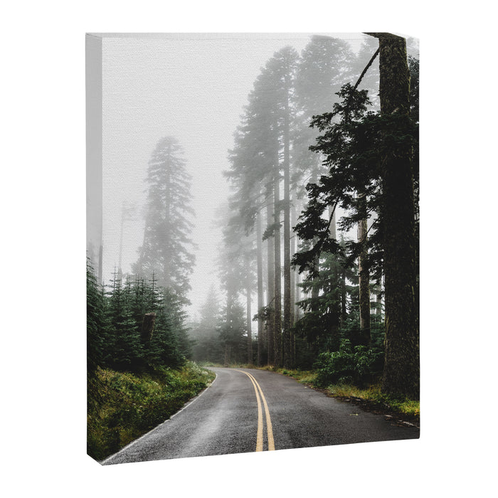 Foggy Forest Road - Pacific Northwest Travel Canvas Print Gallery Image 1