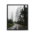 Foggy Forest Road - Pacific Northwest Travel Framed Canvas Print Gallery Image 6