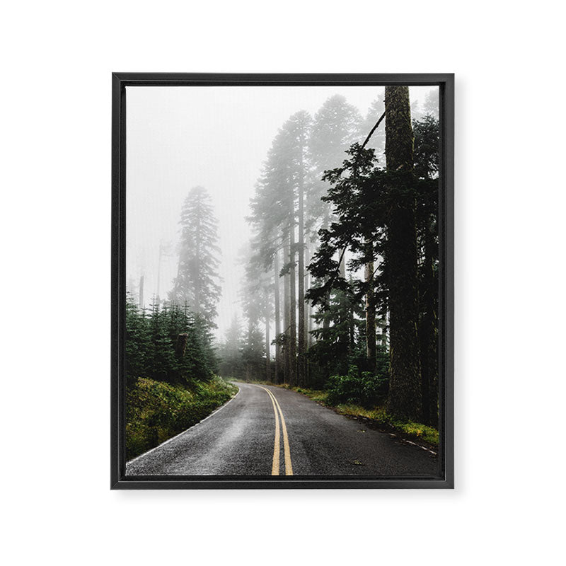Foggy Forest Road - Pacific Northwest Travel Framed Canvas Print Gallery Image 6