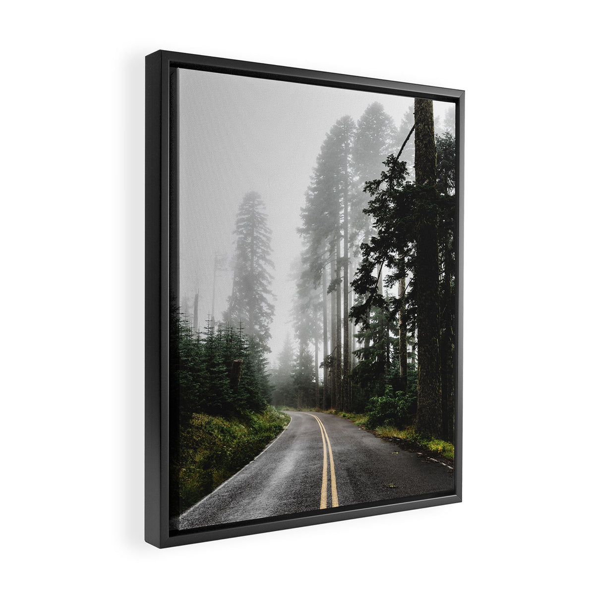 Foggy Forest Road - Pacific Northwest Travel Framed Canvas Print Gallery Image 2
