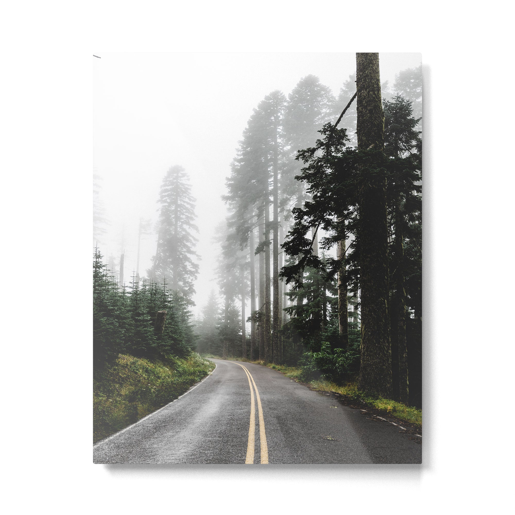 Foggy Forest Road - Pacific Northwest Travel Metal Print Gallery Image 4