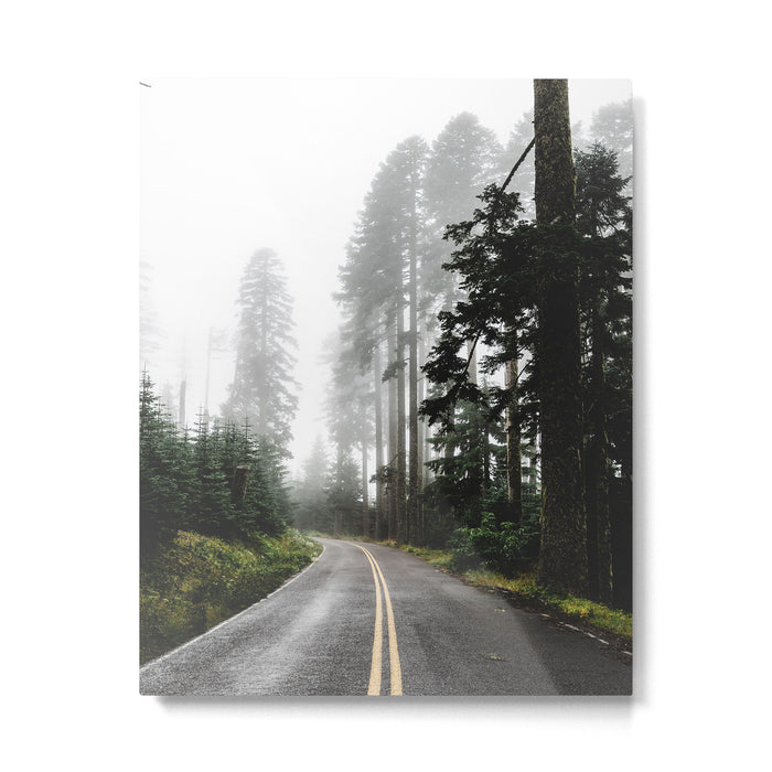 Foggy Forest Road - Pacific Northwest Travel Metal Print Gallery Image 1