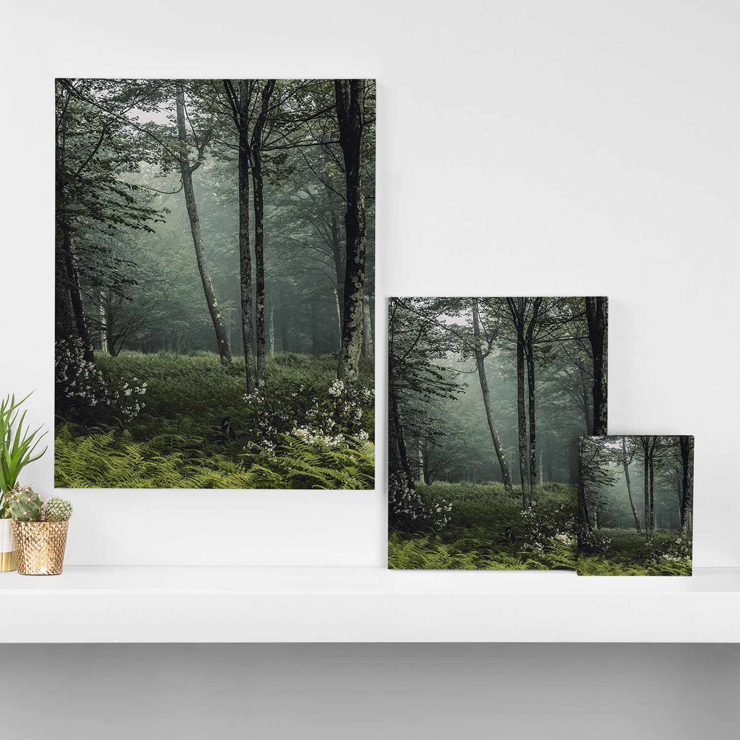 Forest Melody - Appalachian Mountains  Canvas Print Gallery Image 3