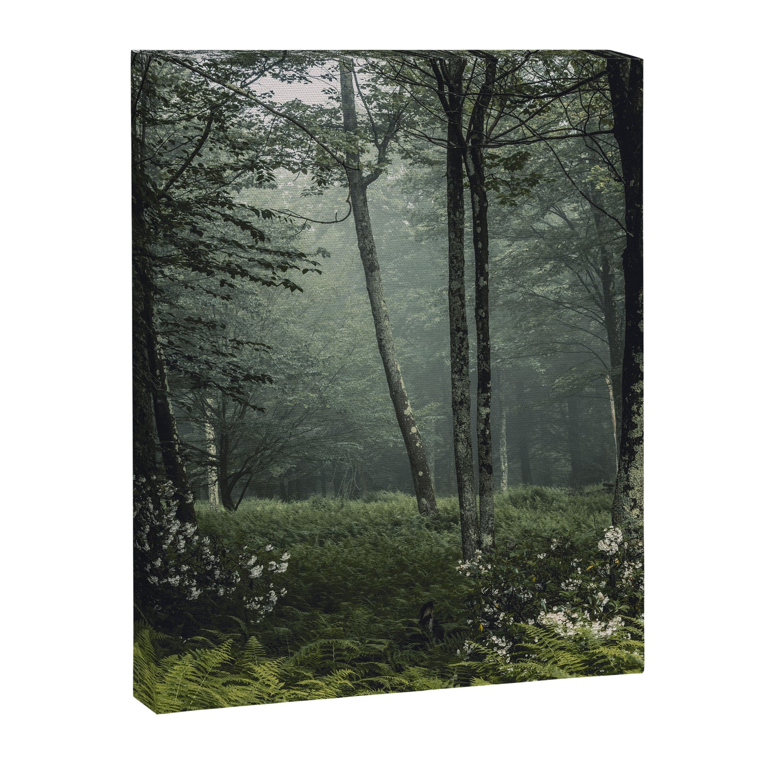 Forest Melody - Appalachian Mountains  Canvas Print Gallery Image 3