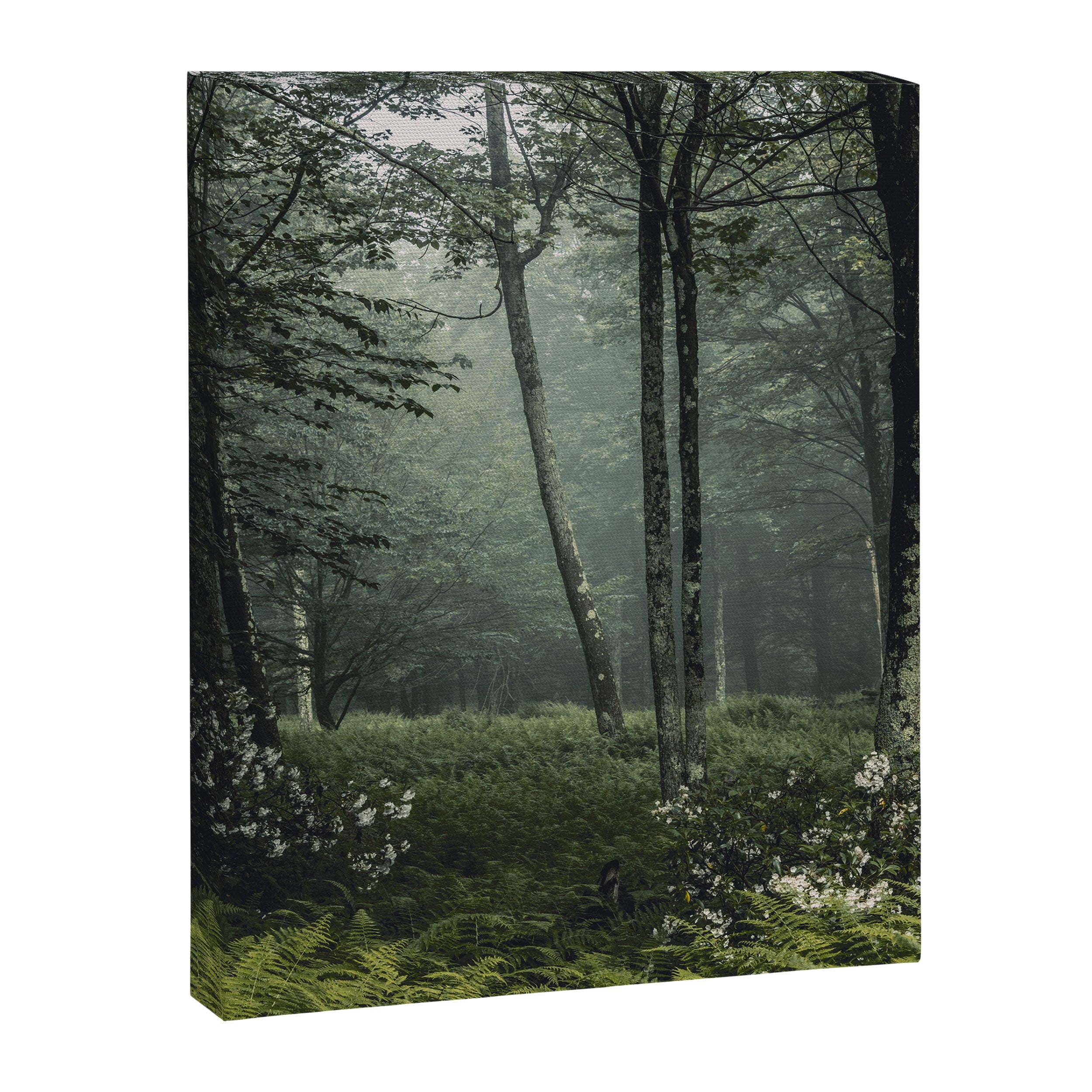 Forest Melody - Appalachian Mountains  Canvas Print Gallery Image 3