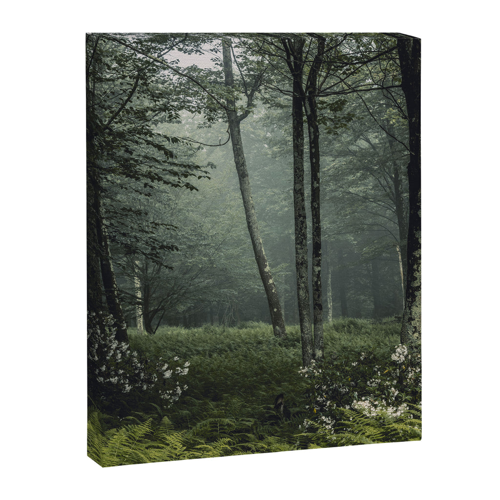 Forest Melody - Appalachian Mountains  Canvas Print Gallery Image 6