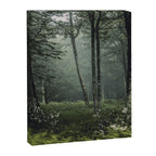 Forest Melody - Appalachian Mountains  Canvas Print Gallery Image 6