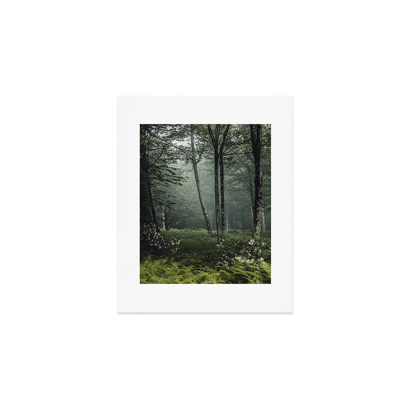Forest Melody - Appalachian Mountains  Art Print Gallery Image 1