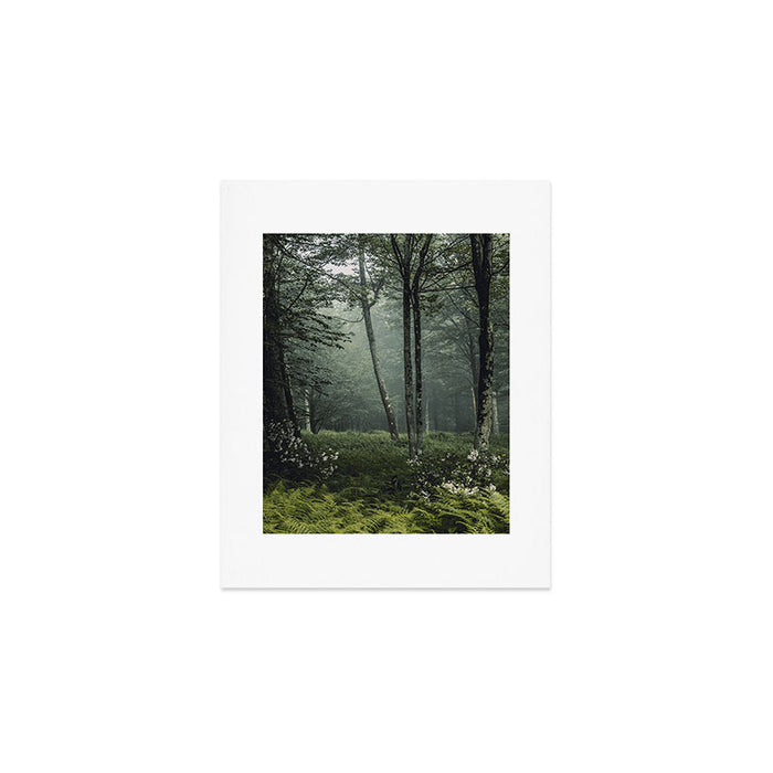 Forest Melody - Appalachian Mountains  Art Print Gallery Image 1
