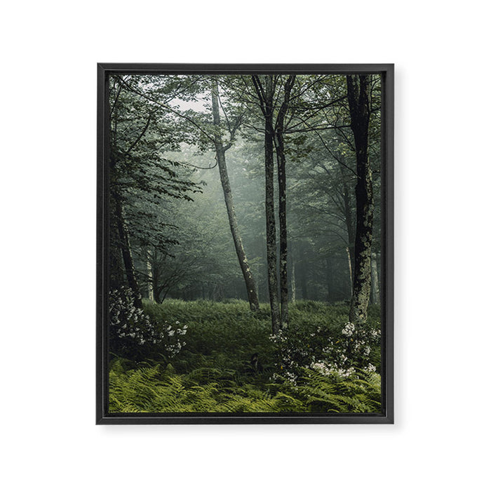 Forest Melody - Appalachian Mountains  Framed Canvas Print Gallery Image 1