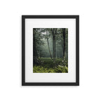 Forest Melody - Appalachian Mountains  Framed Art Print Gallery Image 4