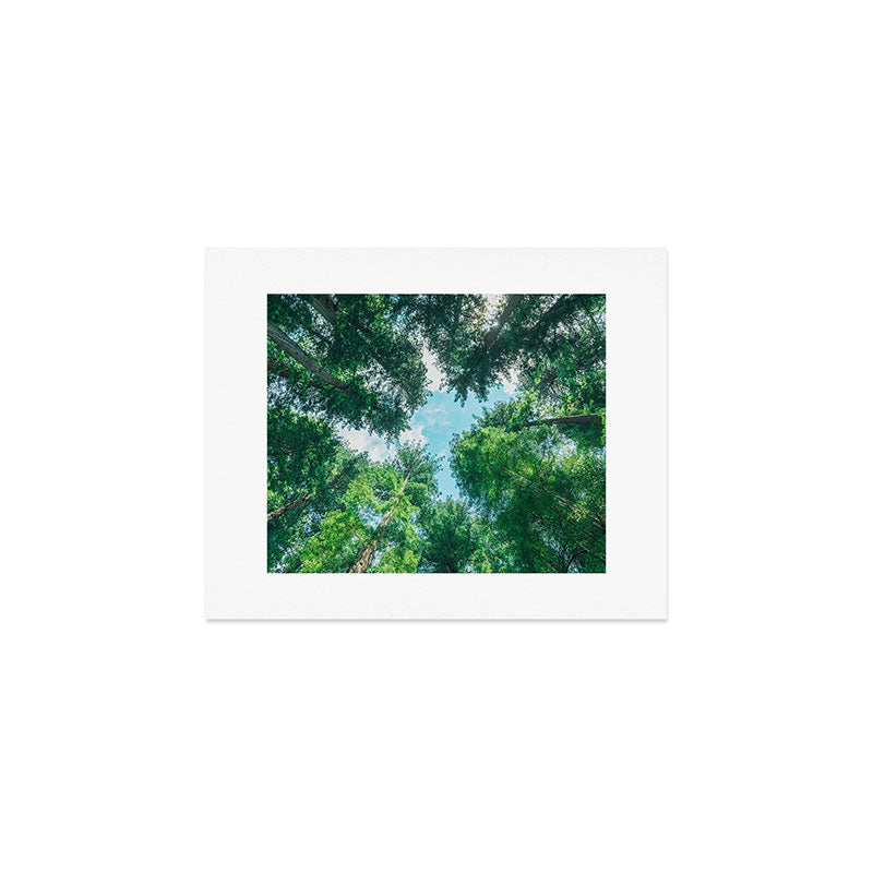 Lost In The Forest - Redwood National Park California Art Print Gallery Image 1