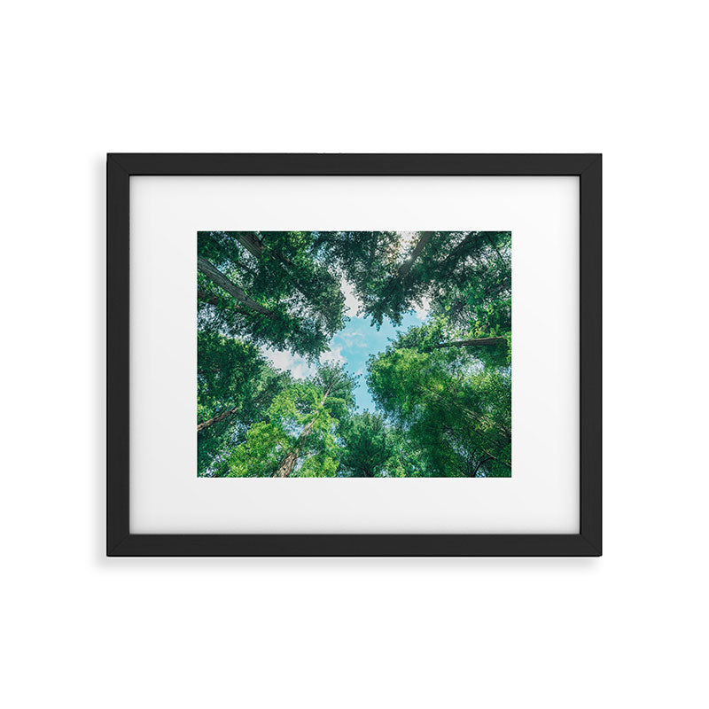 Lost In The Forest - Redwood National Park California Framed Art Print Gallery Image 4