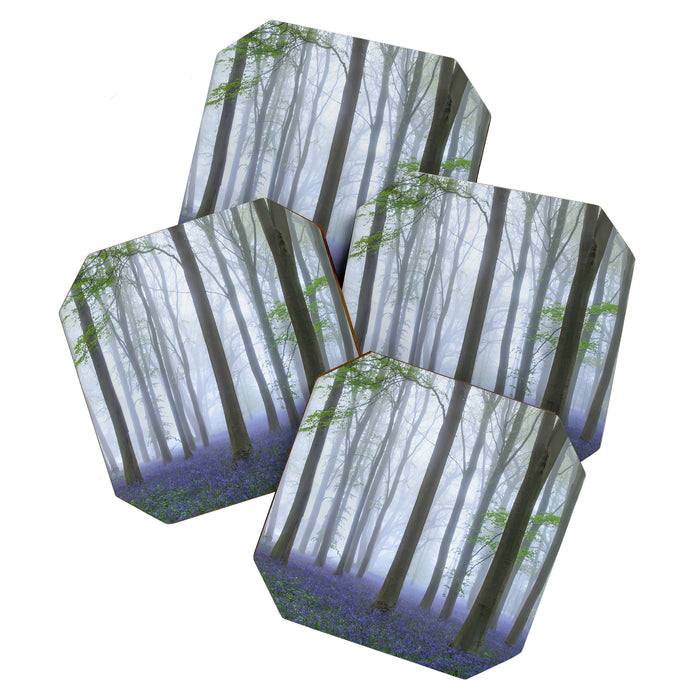 Misty Bluebell Floral Forest Coaster Gallery Image 1