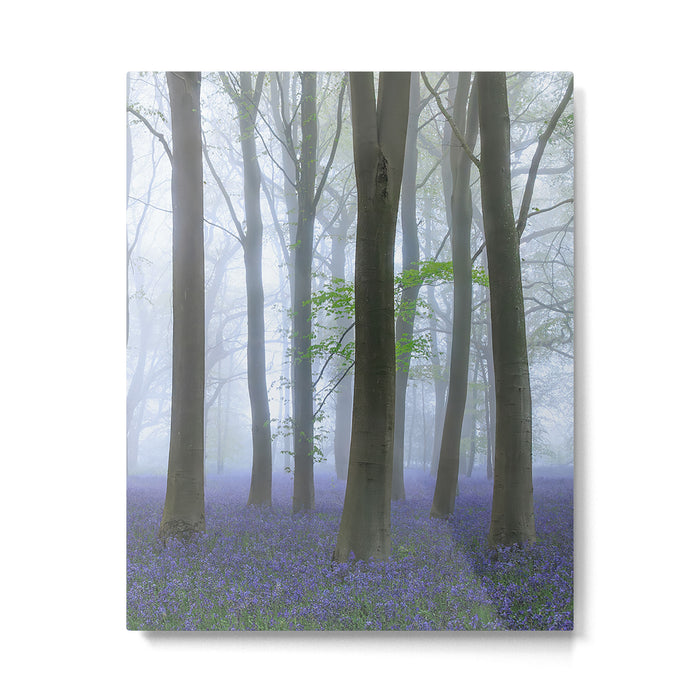 Misty Bluebell Floral Forest Metal Print Gallery Image 1