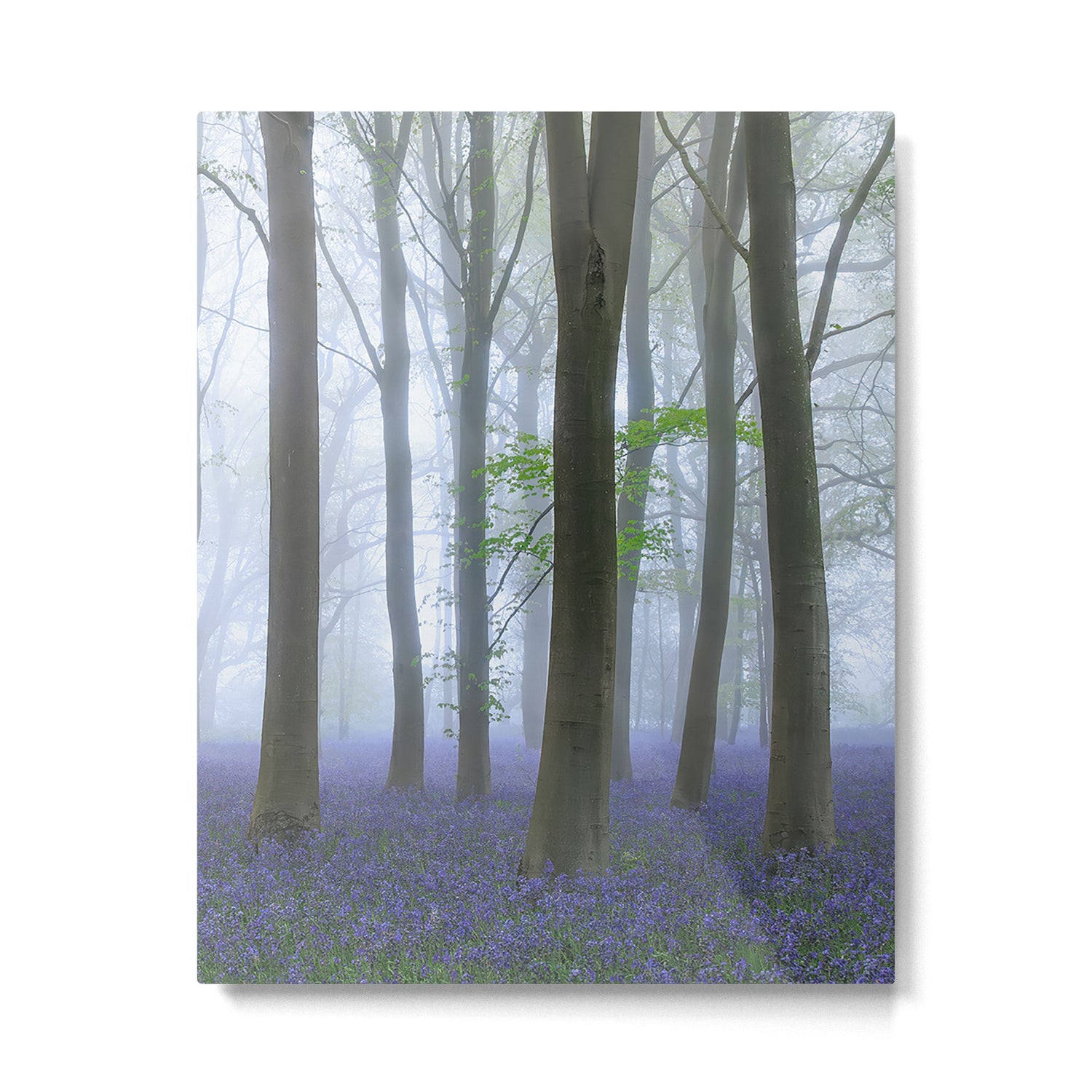 Misty Bluebell Floral Forest Metal Print Gallery Image 4