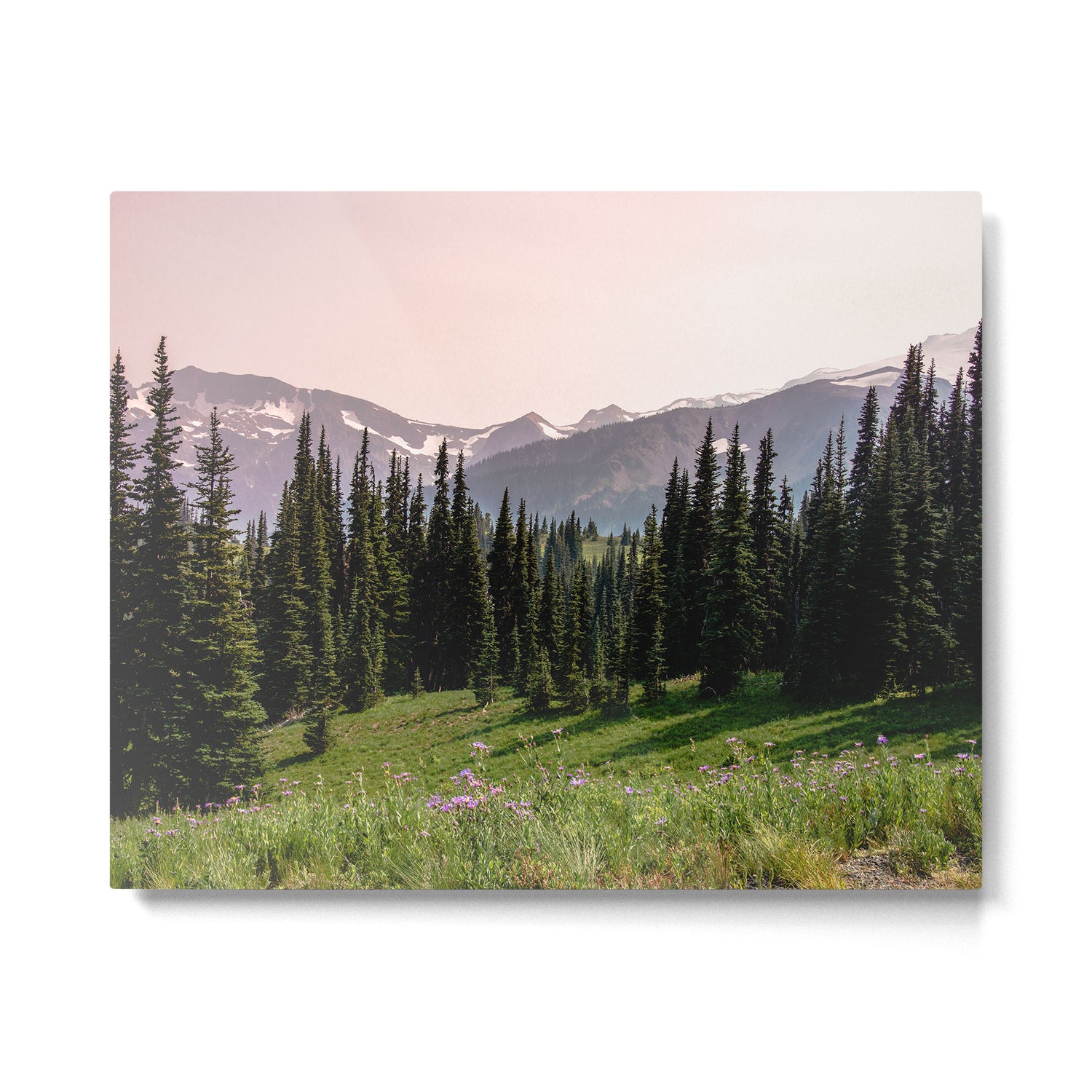 Mount Rainier Summer Adventure X - Pacific Northwest Mountain Landscape Metal Print Gallery Image 4