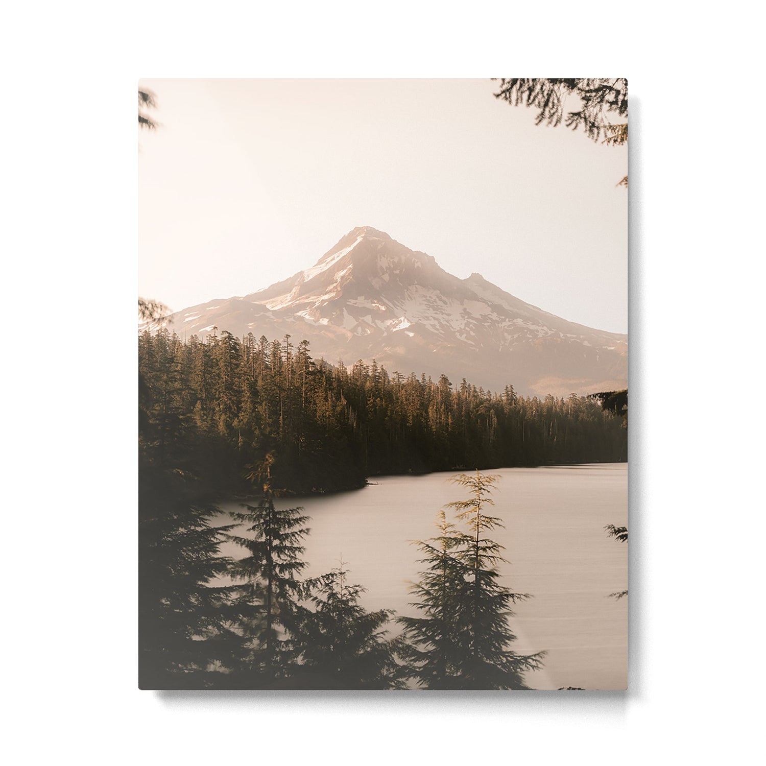Mountain Wanderlust - Mount Hood Forest Landscape Metal Print Gallery Image 6