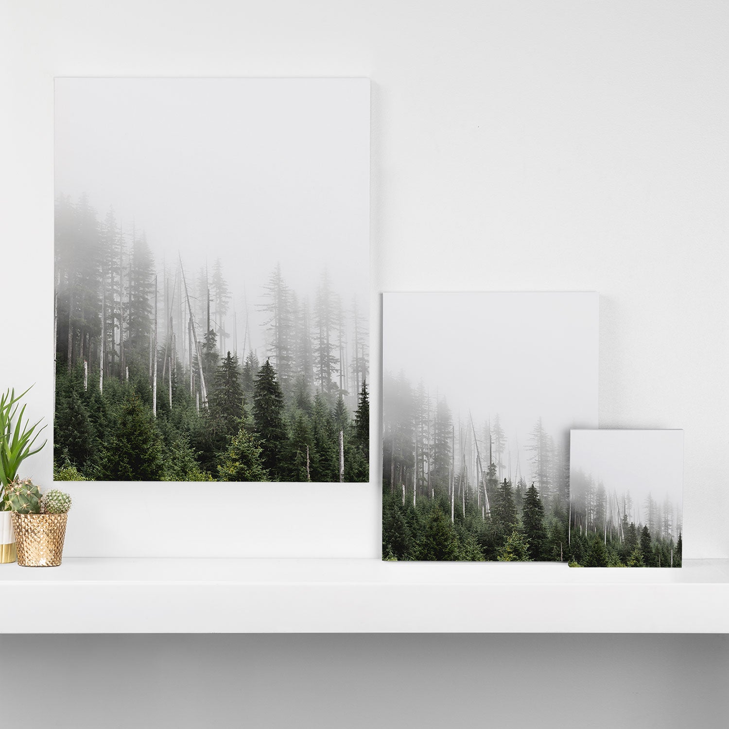 Pacific Northwest Forest - Misty Mountain Morning Canvas Print Gallery Image 3