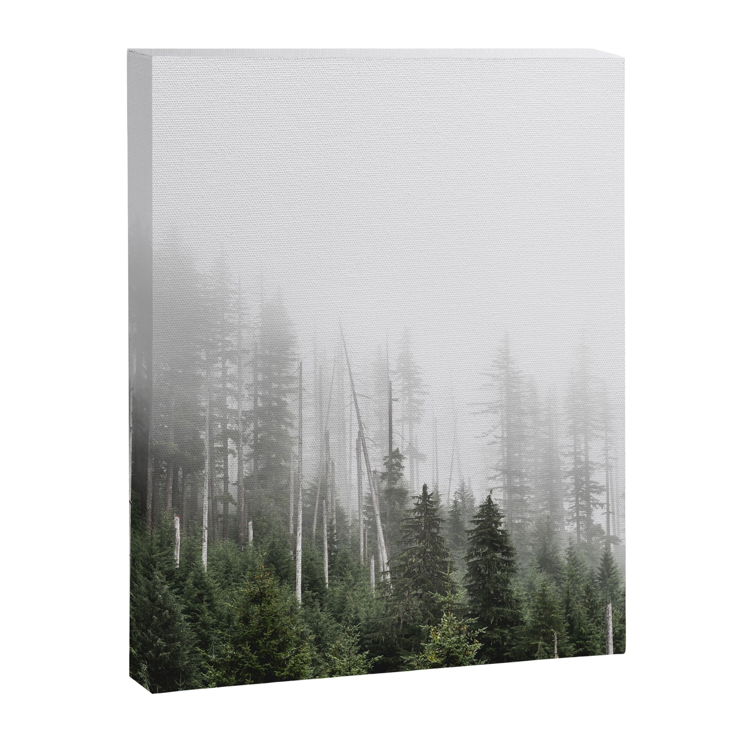 Pacific Northwest Forest - Misty Mountain Morning Canvas Print Gallery Image 3