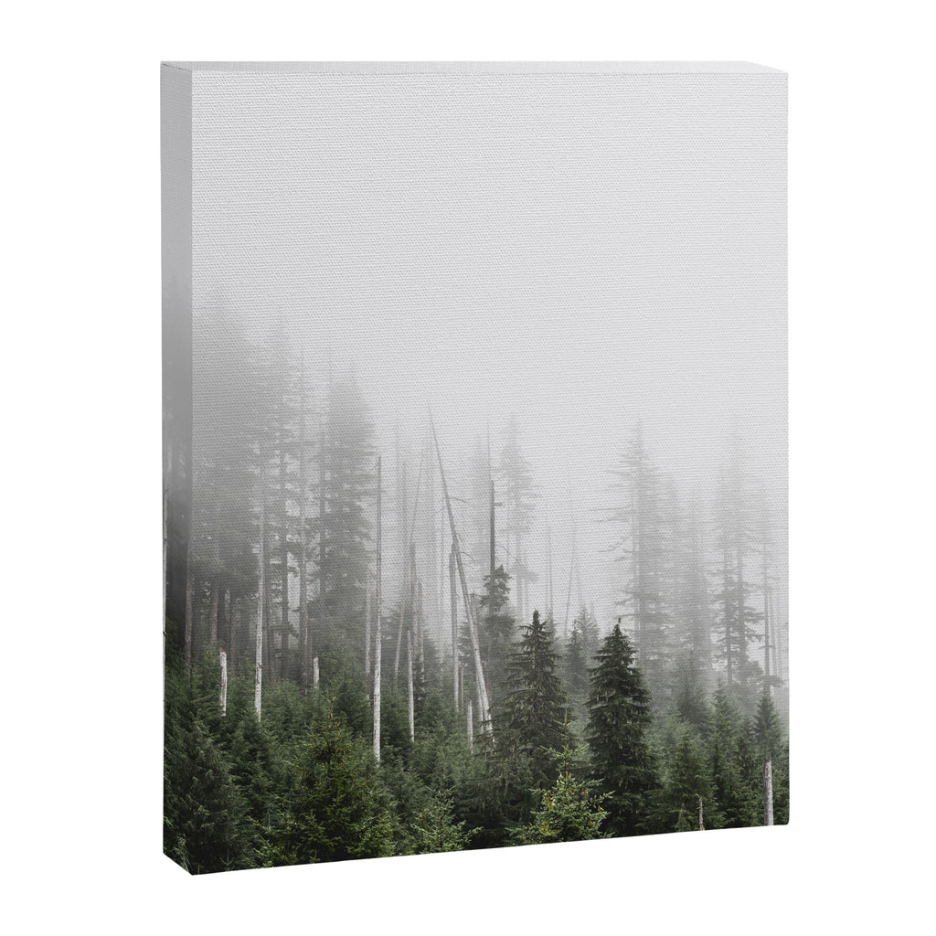 Pacific Northwest Forest - Misty Mountain Morning Canvas Print Gallery Image 6