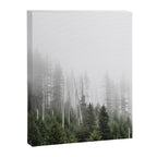 Pacific Northwest Forest - Misty Mountain Morning Canvas Print Gallery Image 6