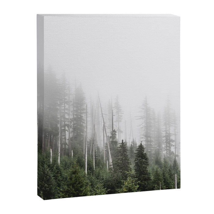 Pacific Northwest Forest - Misty Mountain Morning Canvas Print Gallery Image 1