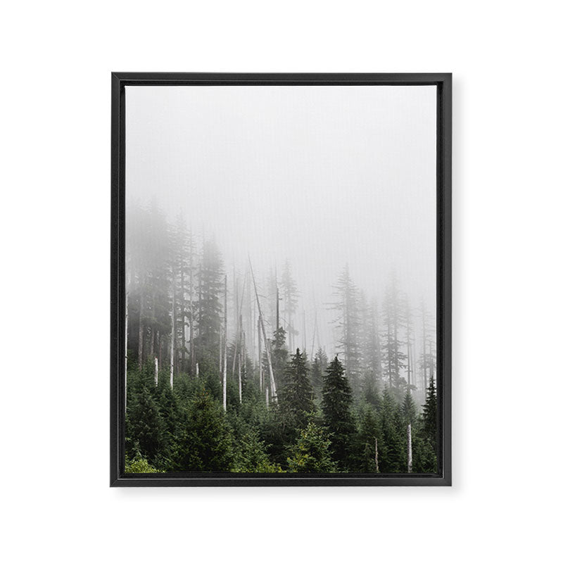 Pacific Northwest Forest - Misty Mountain Morning Framed Canvas Print Gallery Image 6