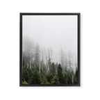 Pacific Northwest Forest - Misty Mountain Morning Framed Canvas Print Gallery Image 6