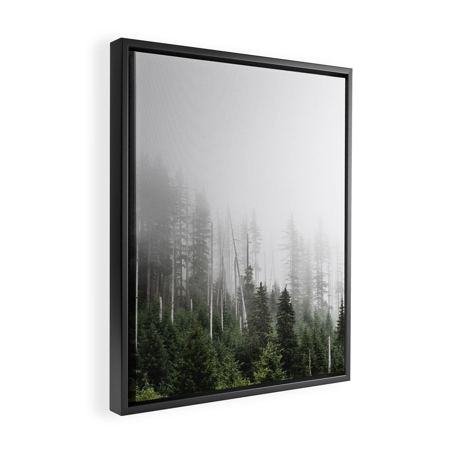 Pacific Northwest Forest - Misty Mountain Morning Framed Canvas Print Gallery Image 2