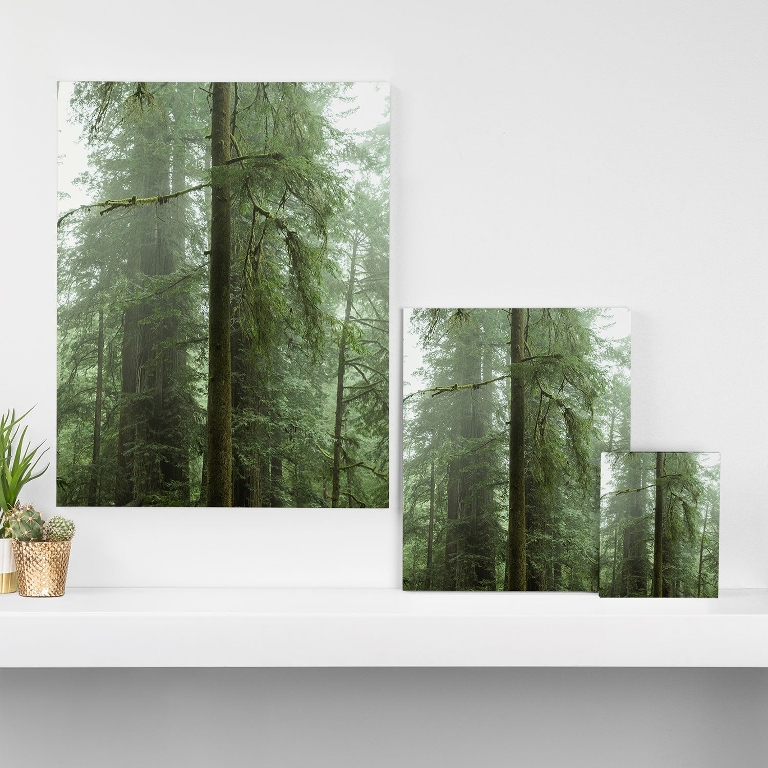 Redwood National Park - Misty Mountain Forest Adventure Canvas Print Gallery Image 3