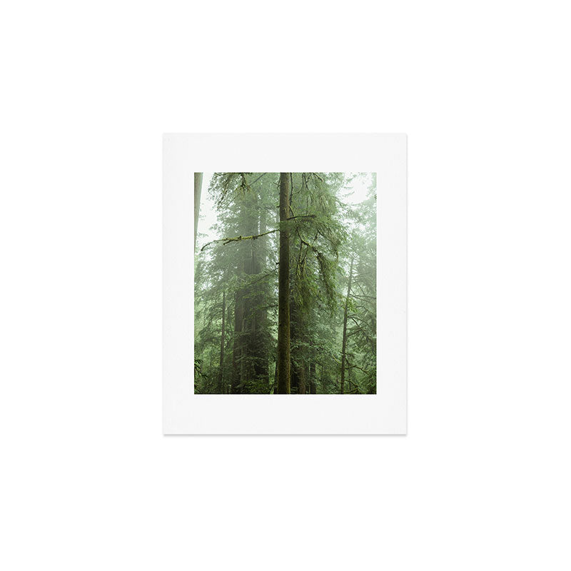 Redwood National Park - Misty Mountain Forest Adventure Art Print Gallery Image 1
