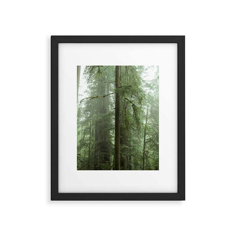 Redwood National Park - Misty Mountain Forest Adventure Framed Art Print Gallery Image 4