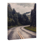 Smoky Mountain National Park -  Road Trip Adventure Canvas Print Gallery Image 6