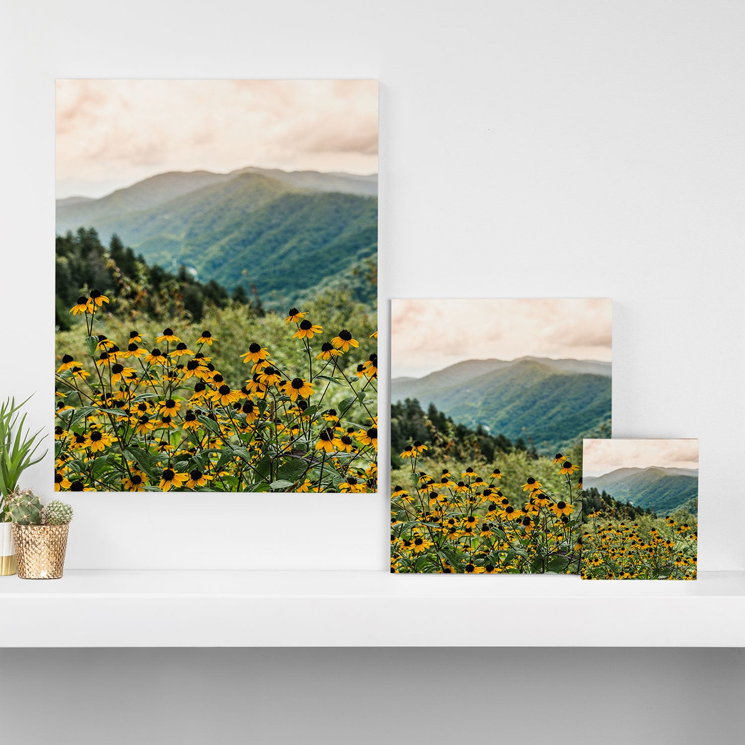 Smoky Mountains Wildflower Nature Photography Canvas Print Gallery Image 3