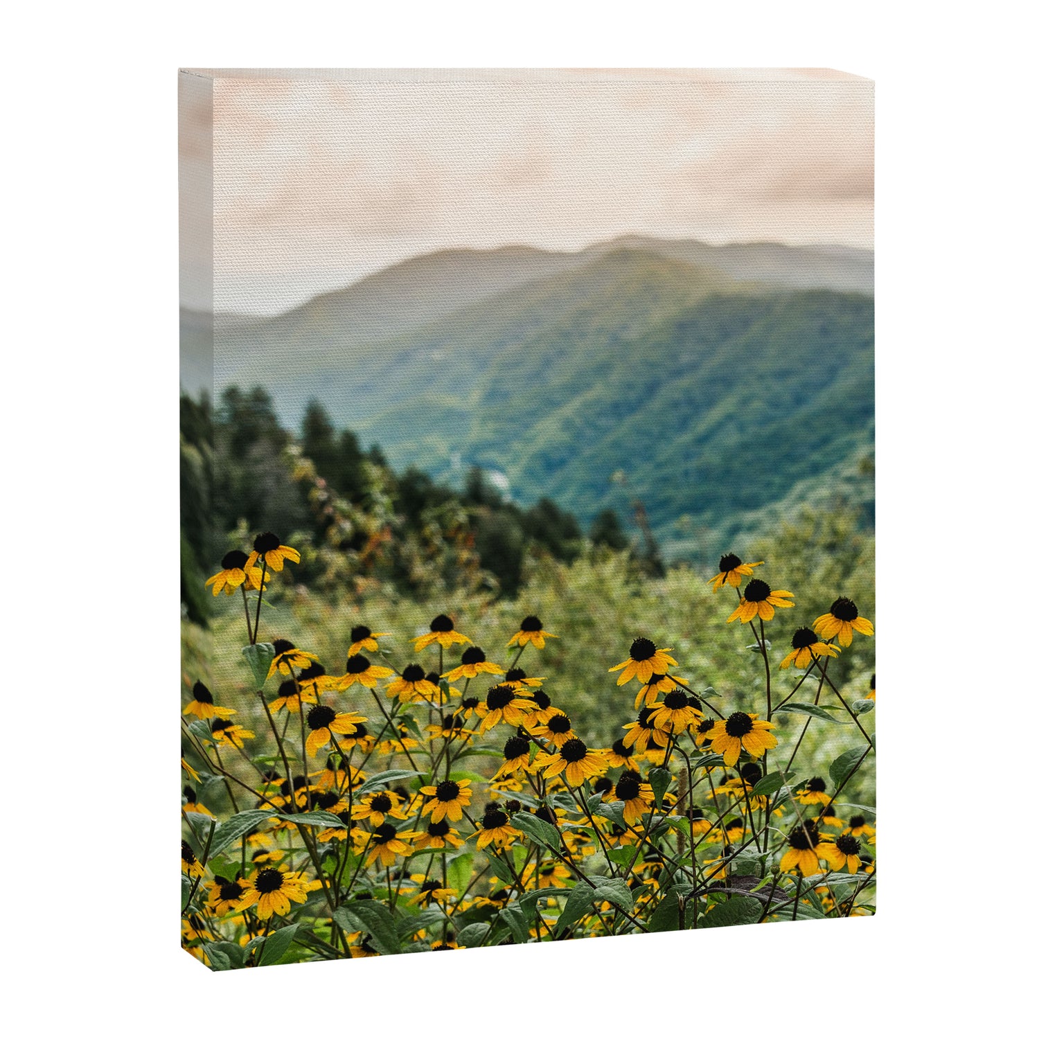Smoky Mountains Wildflower Nature Photography Canvas Print Gallery Image 3