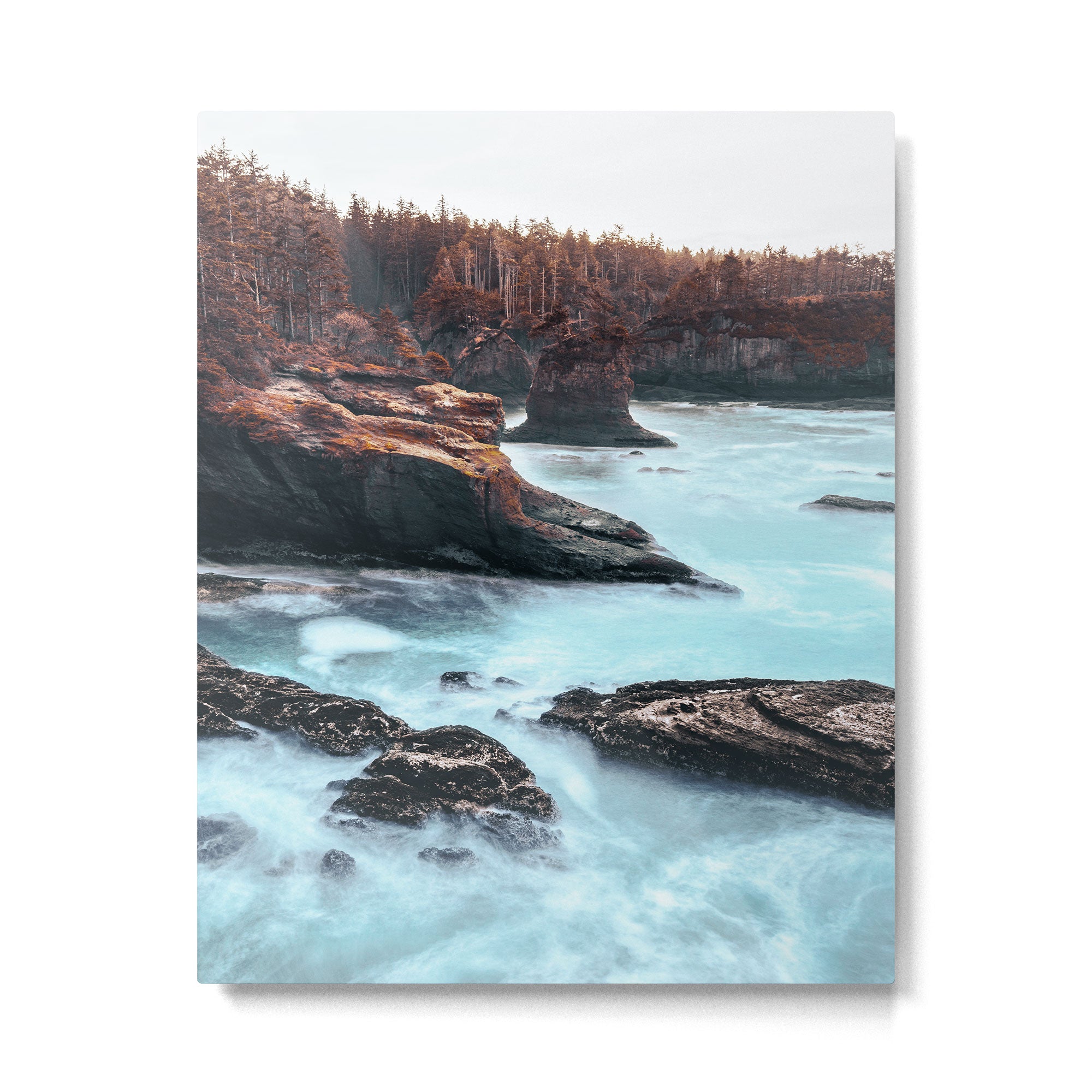 Washington West Coast - Ocean Forest Adventure Metal Print Gallery Image 4
