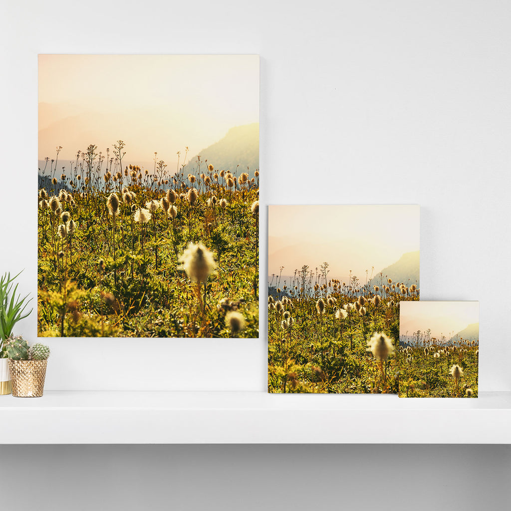 Wildflower Explosion - Mount Rainier National Park Canvas Print Gallery Image 3