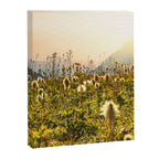 Wildflower Explosion - Mount Rainier National Park Canvas Print Gallery Image 3