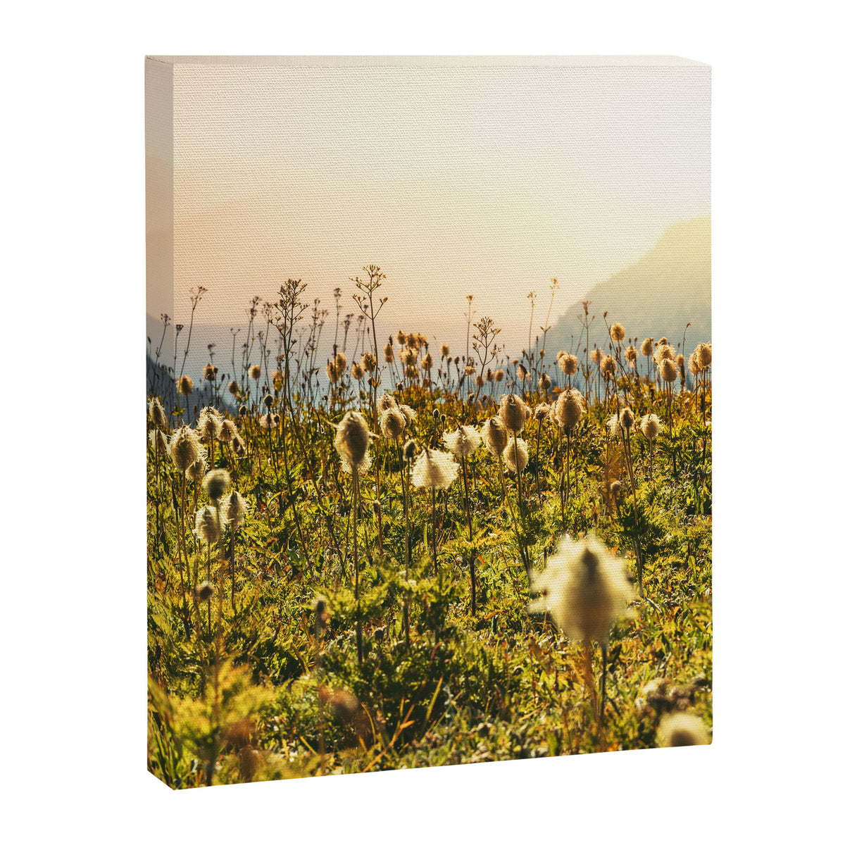 Wildflower Explosion - Mount Rainier National Park Canvas Print Gallery Image 6
