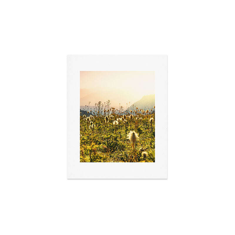 Wildflower Explosion - Mount Rainier National Park Art Print Gallery Image 1