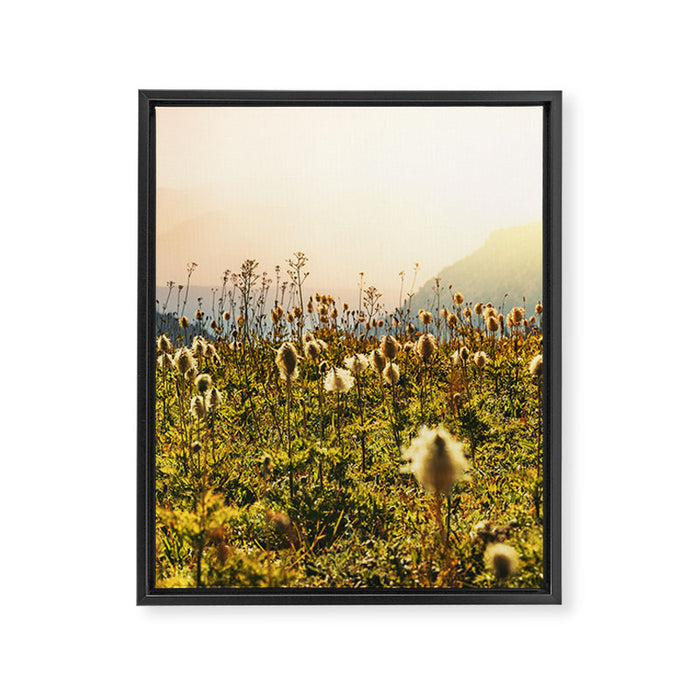 Wildflower Explosion - Mount Rainier National Park Framed Canvas Print Gallery Image 1