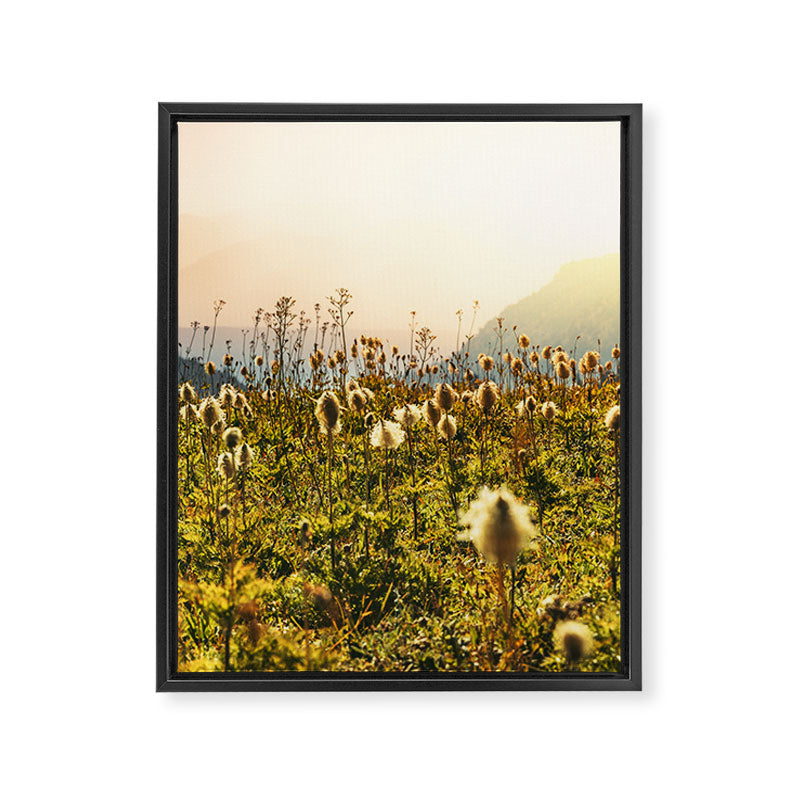 Wildflower Explosion - Mount Rainier National Park Framed Canvas Print Gallery Image 6