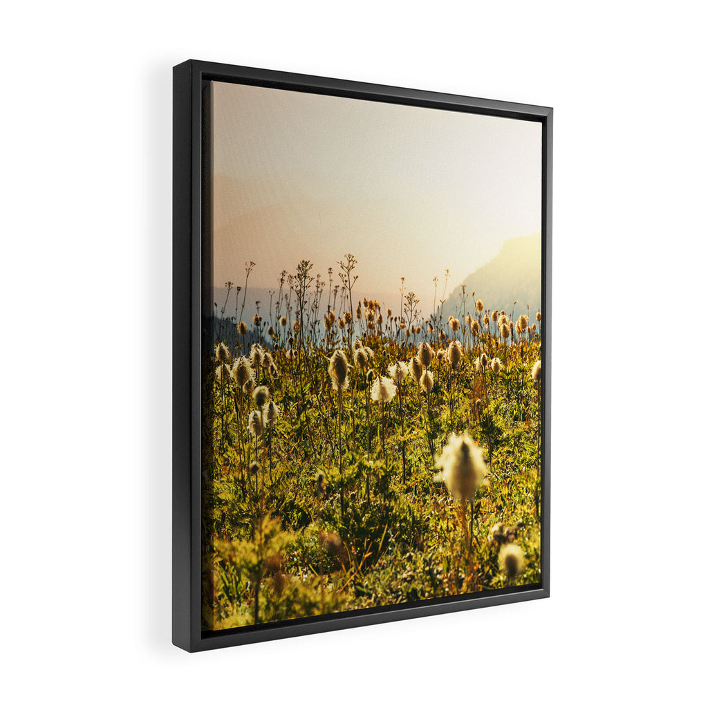 Wildflower Explosion - Mount Rainier National Park Framed Canvas Print Gallery Image 2