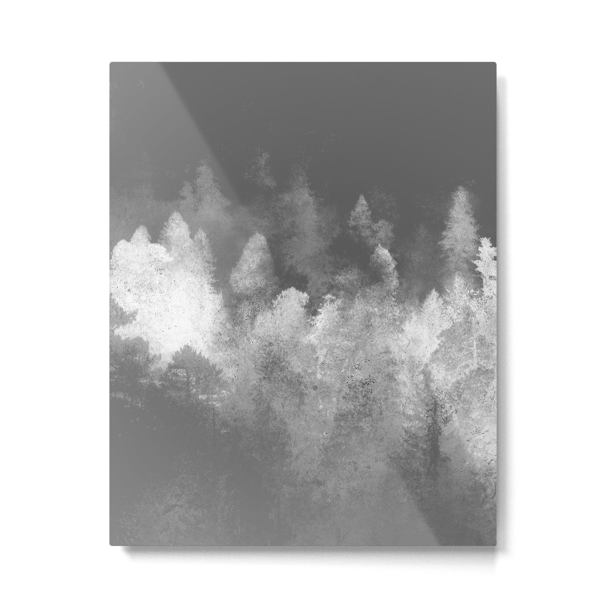 Chromatic Forest Nature Photography Metal Print Gallery Image 4